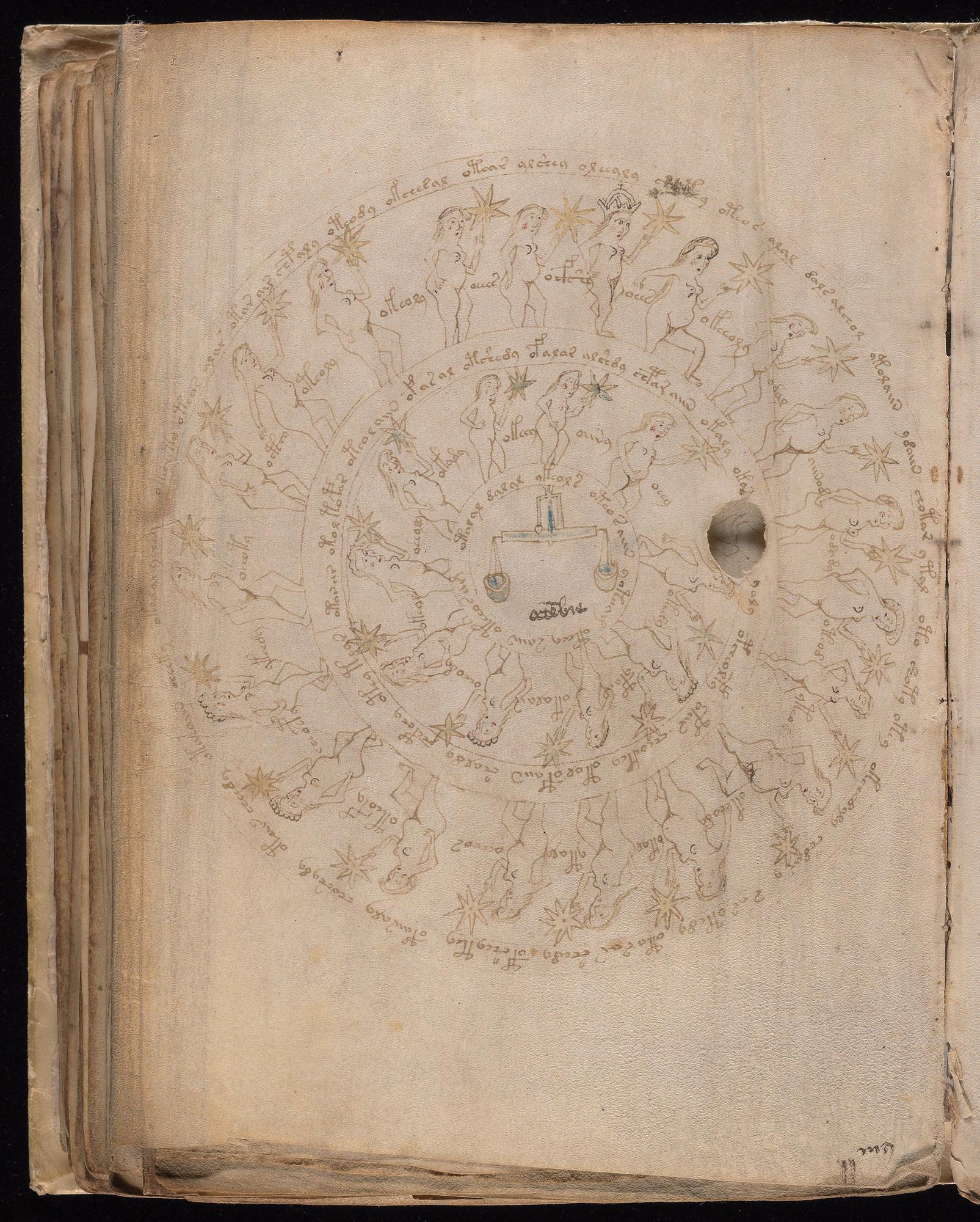 Voynich Manuscript folio f72v (part) — Beinecke MS 408